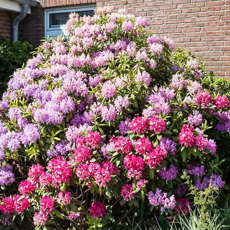 Haus Szameit, Whg 3 Apartament Sylt